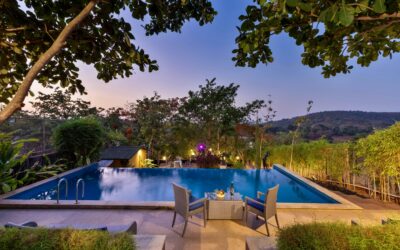 Ascent to the Clouds: Unveiling the Secrets of Sigiriya’s Ancient Citadel