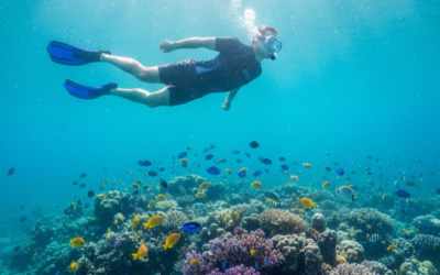 Pasikuda Snorkeling for Calm Ocean Exploration