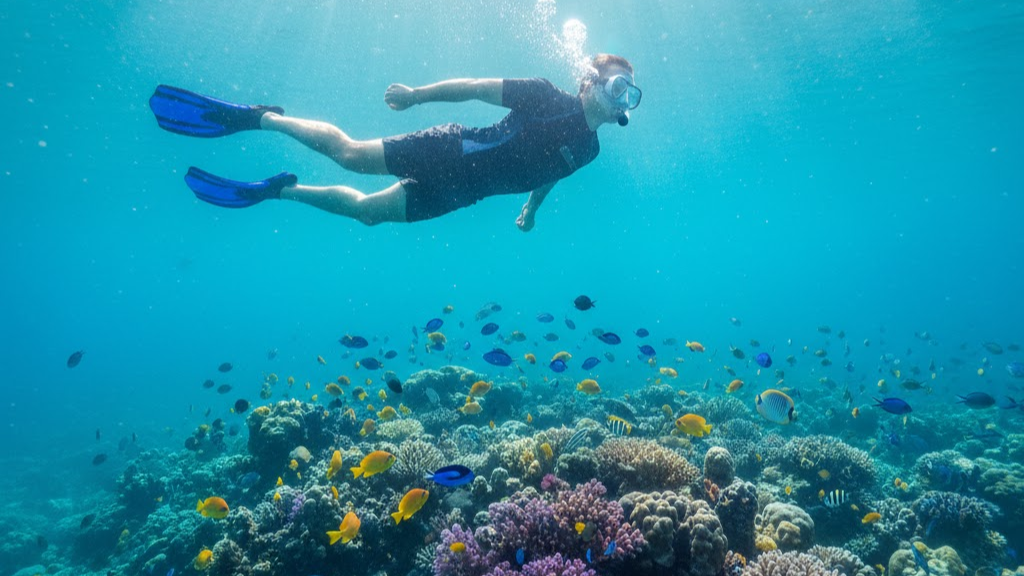 Pasikuda Snorkeling for Calm Ocean Exploration